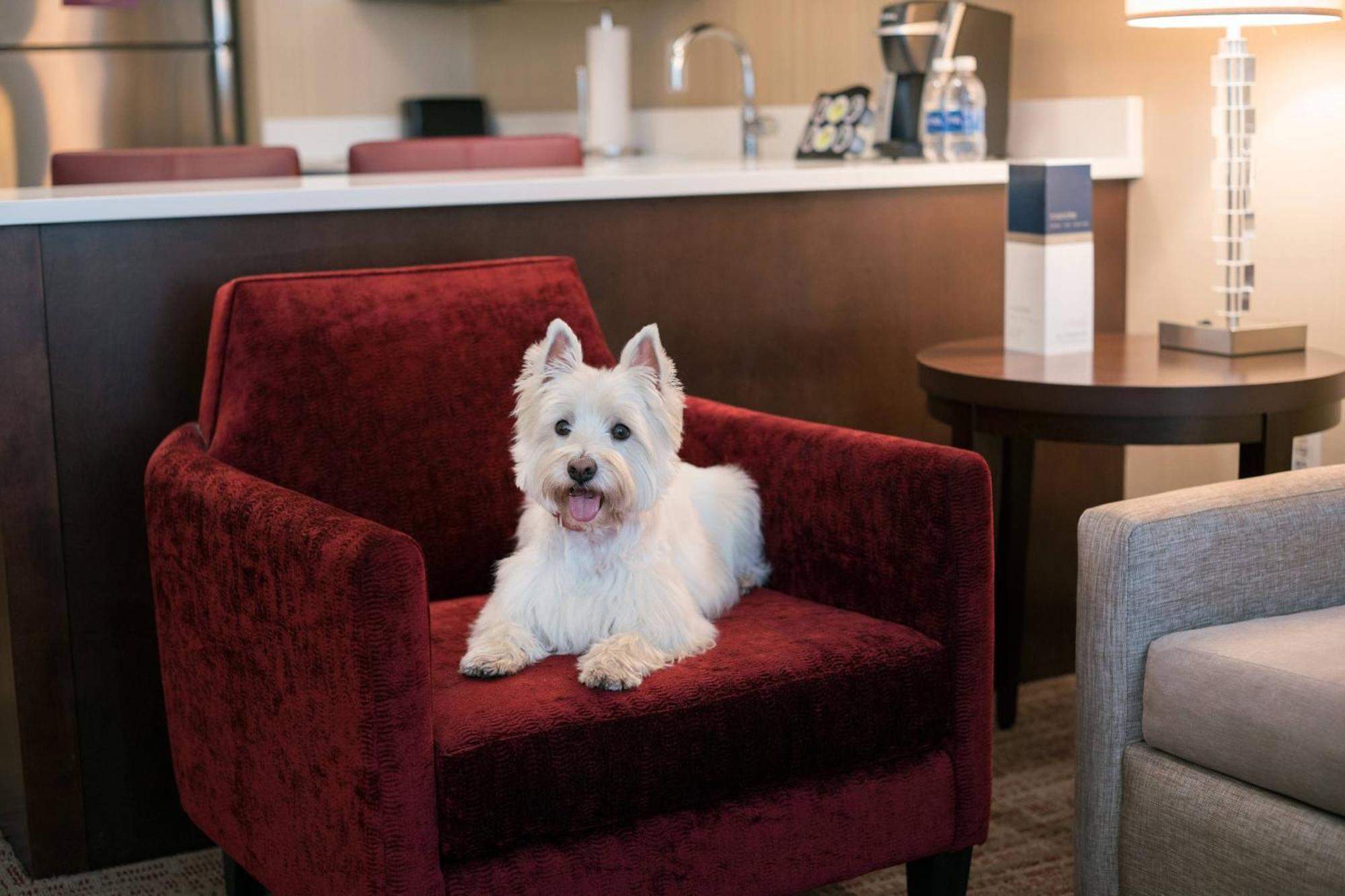 Residence Inn By Marriott Chicago Downtown/Loop Luaran gambar